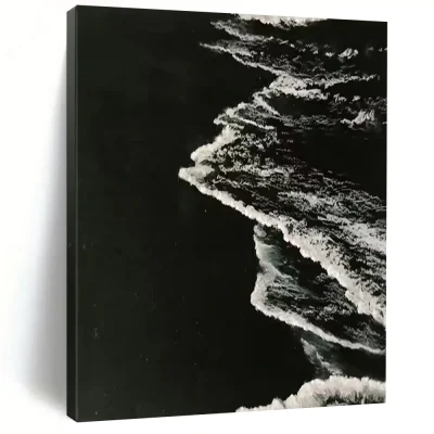 “Black - and - White Wave Silhouette” – Monochrome black and white, with wave silhouettes creating a strong contrast. EvD592